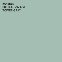 #A4BEB3 - Tower Gray Color Image